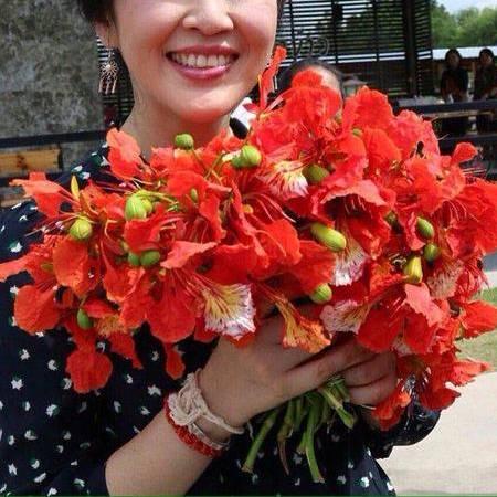 四季平安 🌷🌷