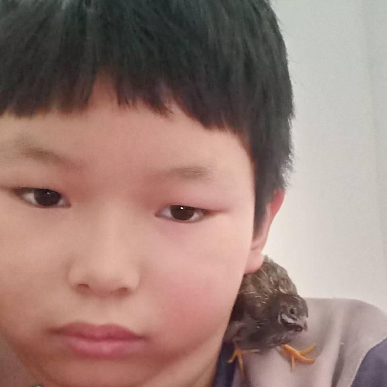 🐰逆袭丁哥🐰👑