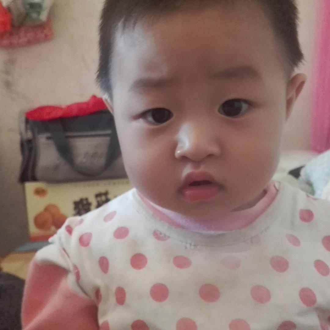 模板达人