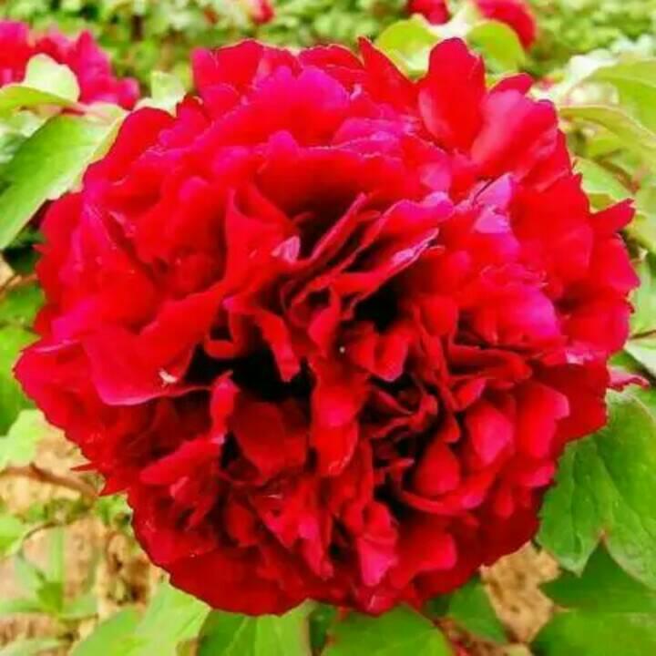 幸福平安一家人😊