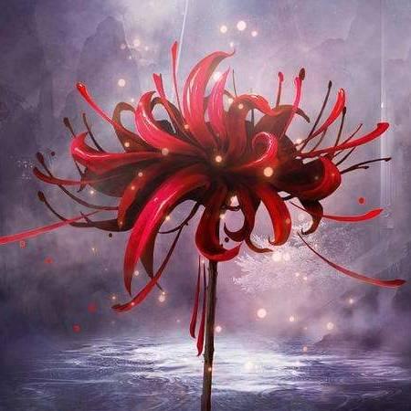 彼岸花开，花开彼岸