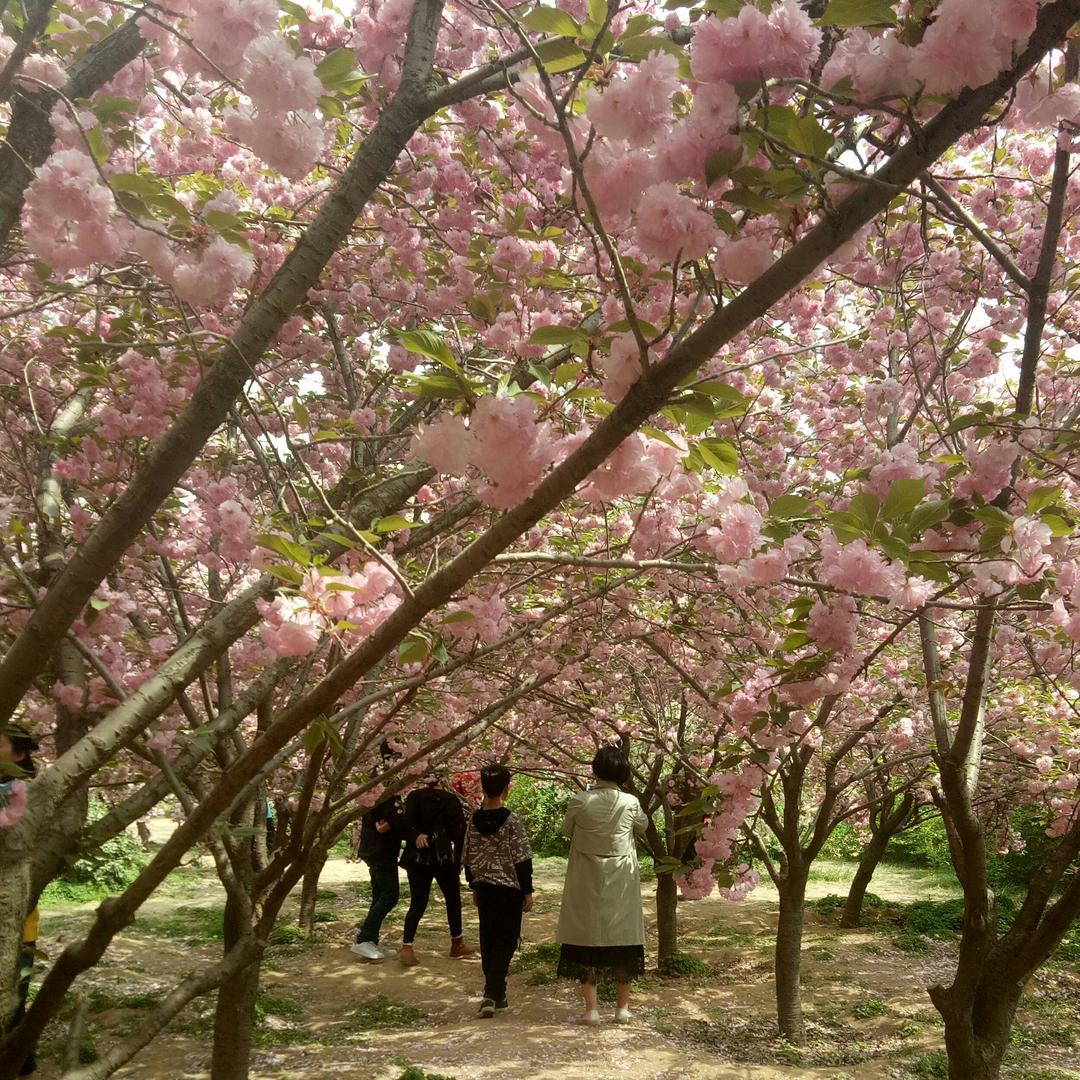 认识你真好92628882