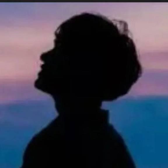 🍃暮雨孤城🍃