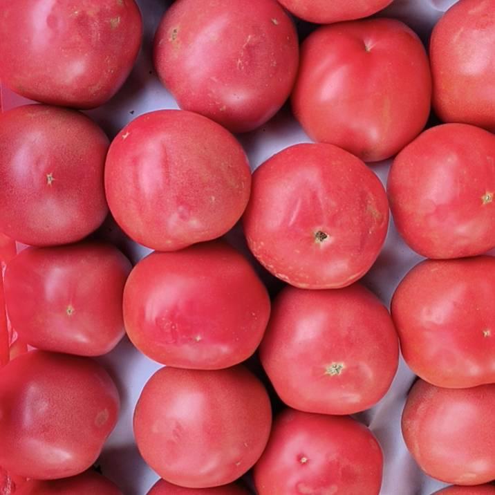 温泉镇冯店村要辉超市