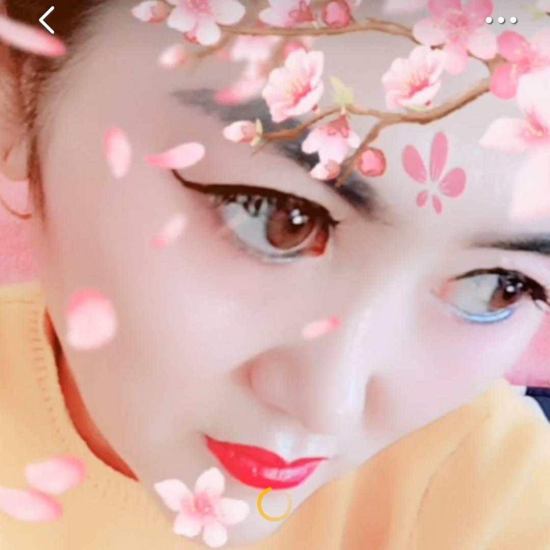 不醒的灵魂