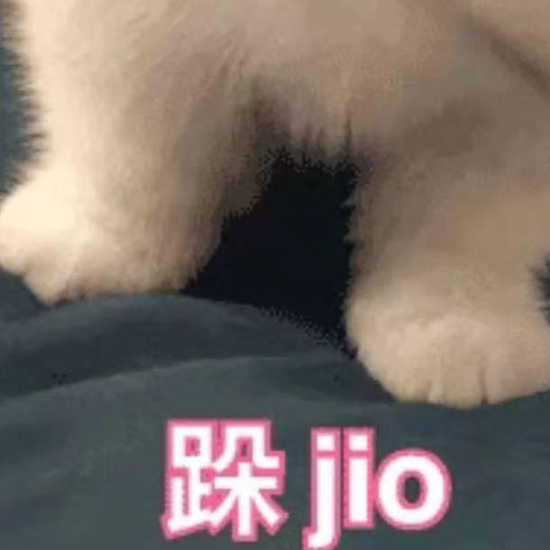 跺jio 2499