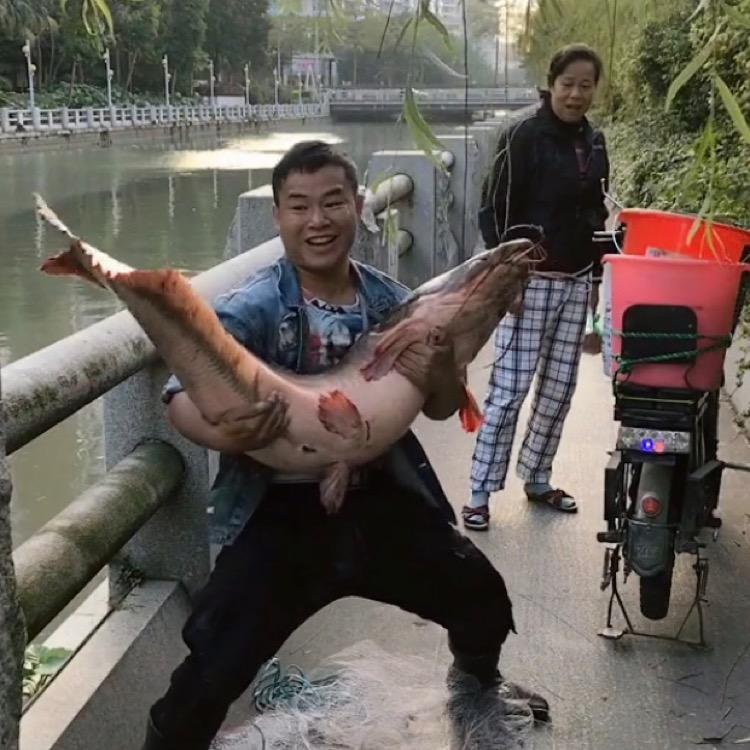 刺客小杨特急钓鱼大湿