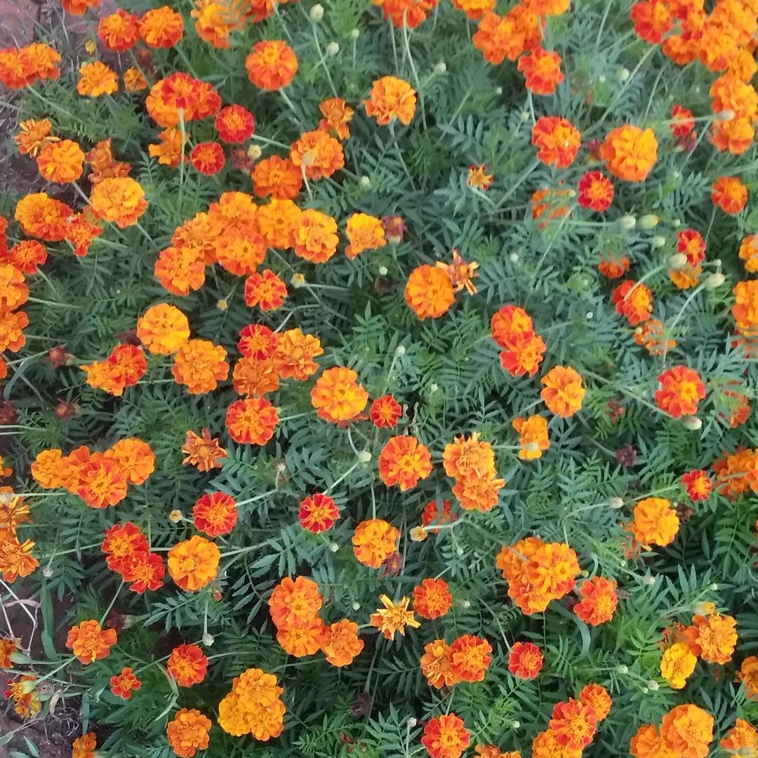 开心就好。。。