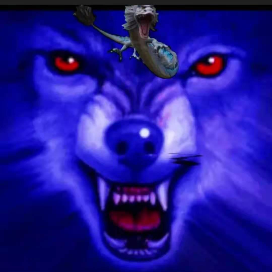 雪狼王🐺🐺