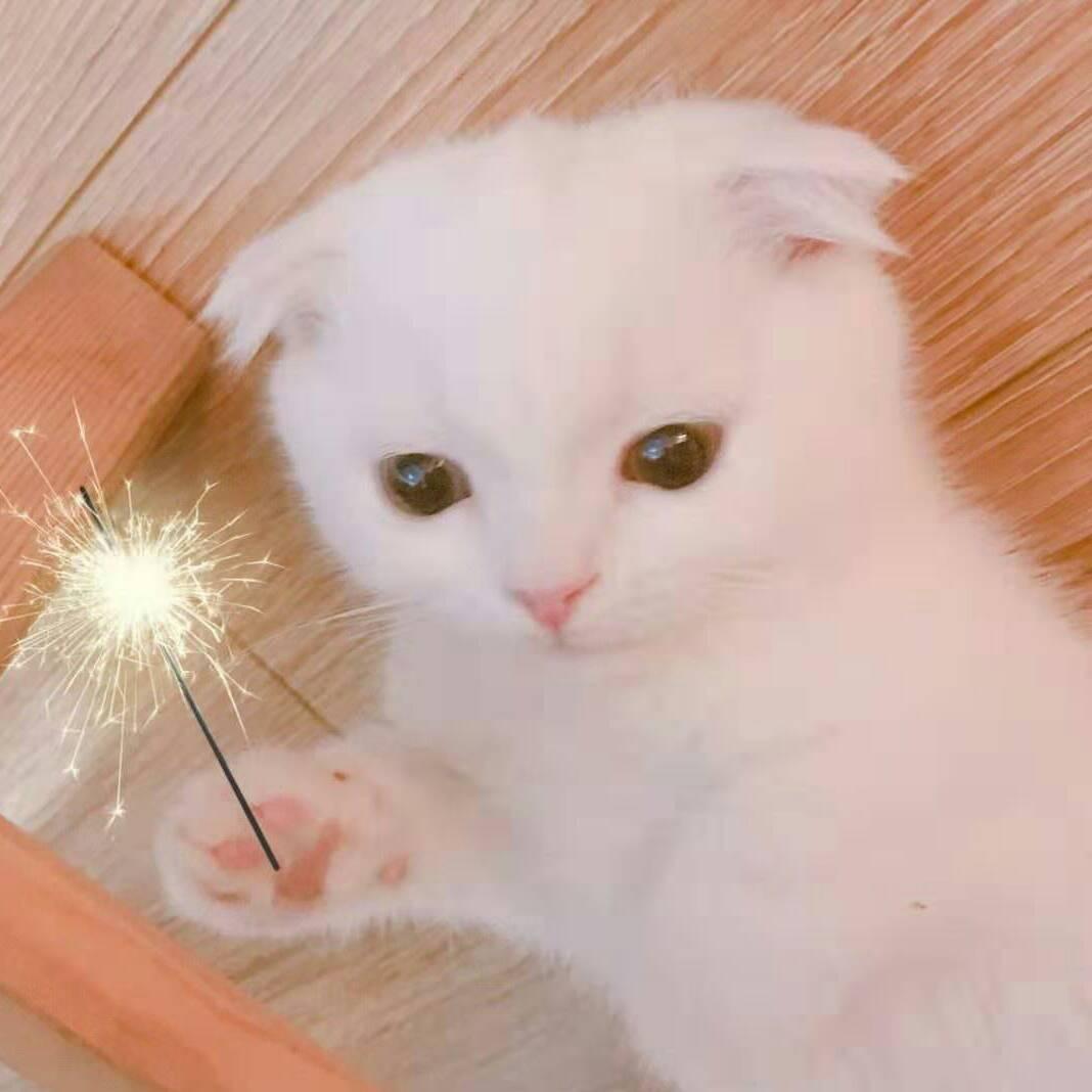 家中多欢乐