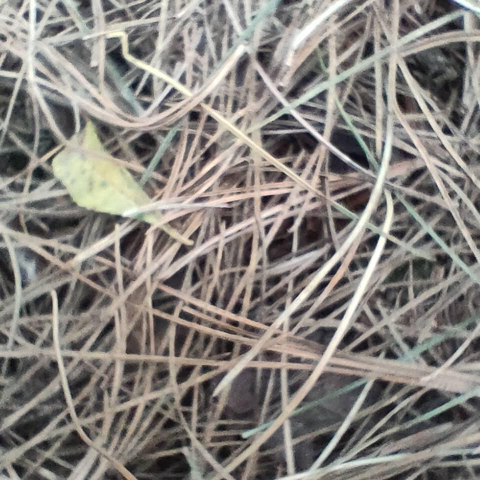 暧昧人生玩危险