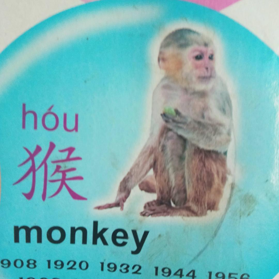 ☞金奶奶☜