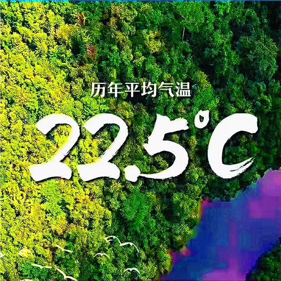 南国防城港 蔡菜