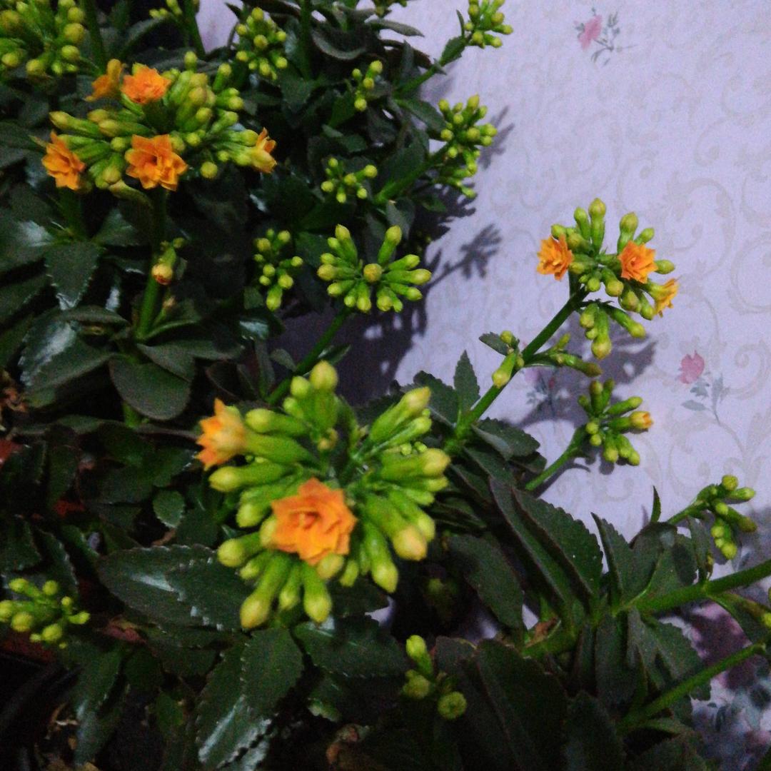 用户35686056