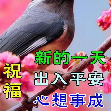 🌺夕阳美🍓