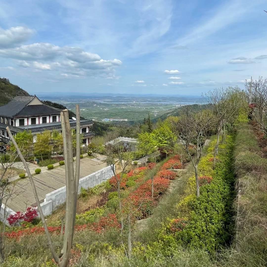 微笑的面对_2479