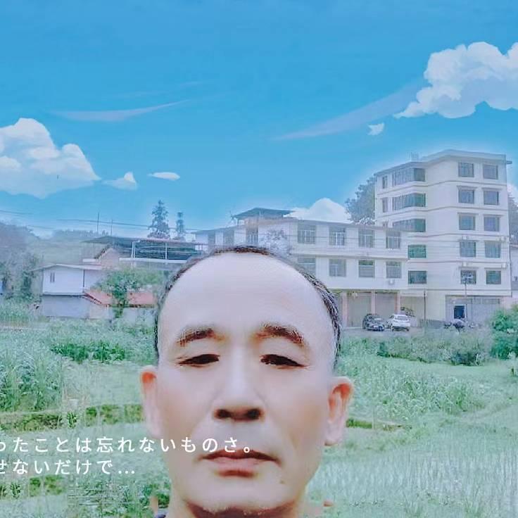 清风劲节