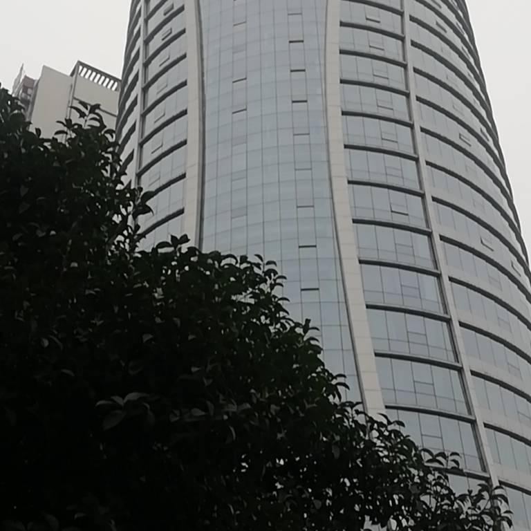 新的一天/
