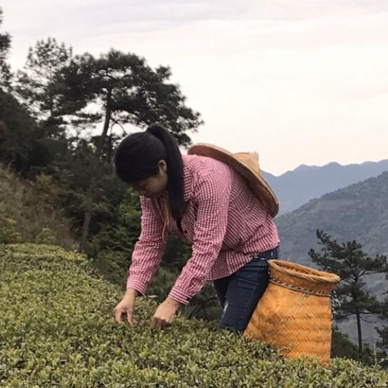 闽南山妹