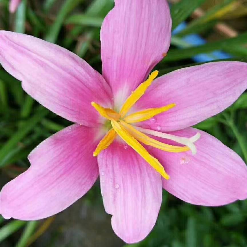 ⭐福