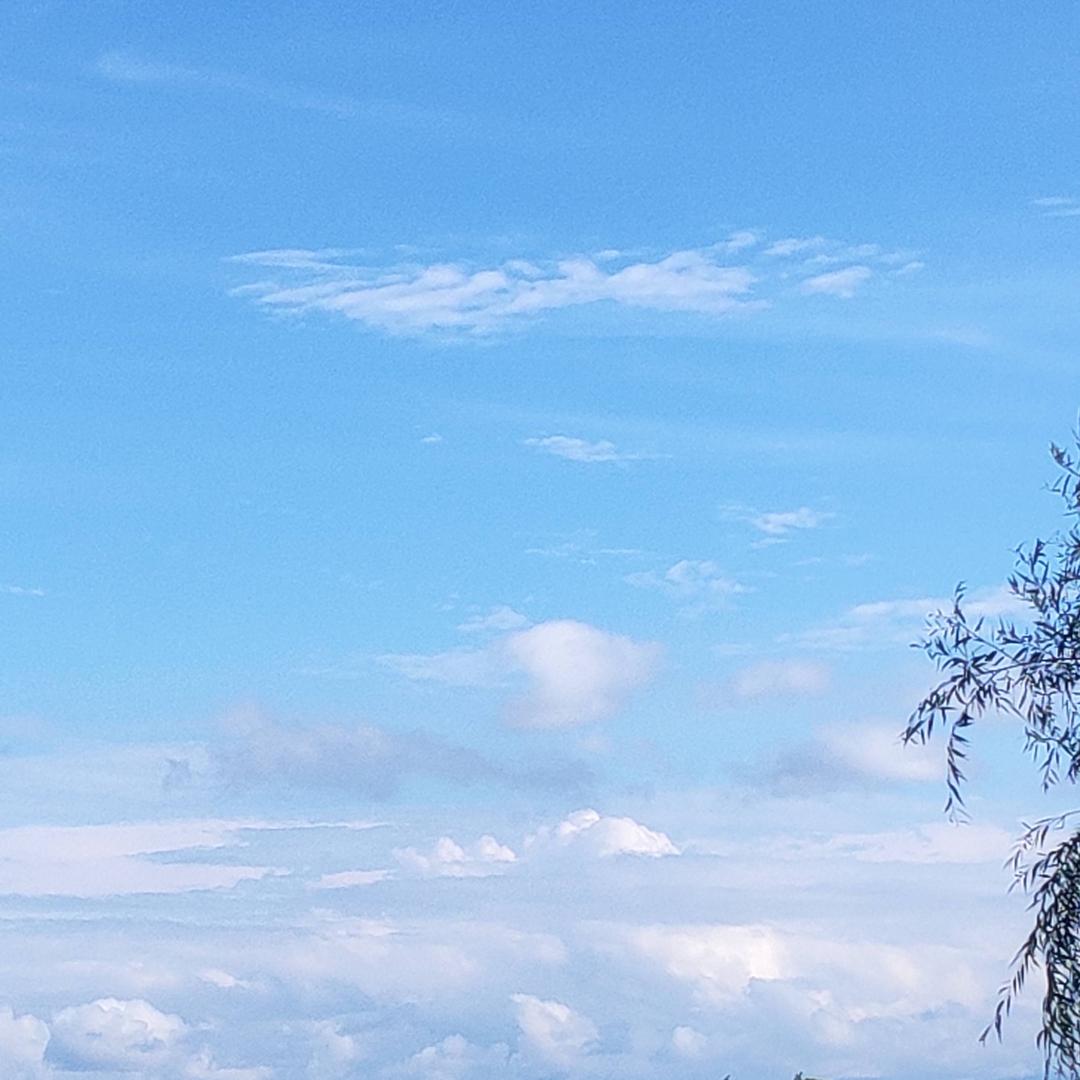 把风捧在手中