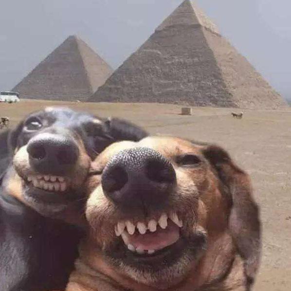 '。  重剑无锋℃