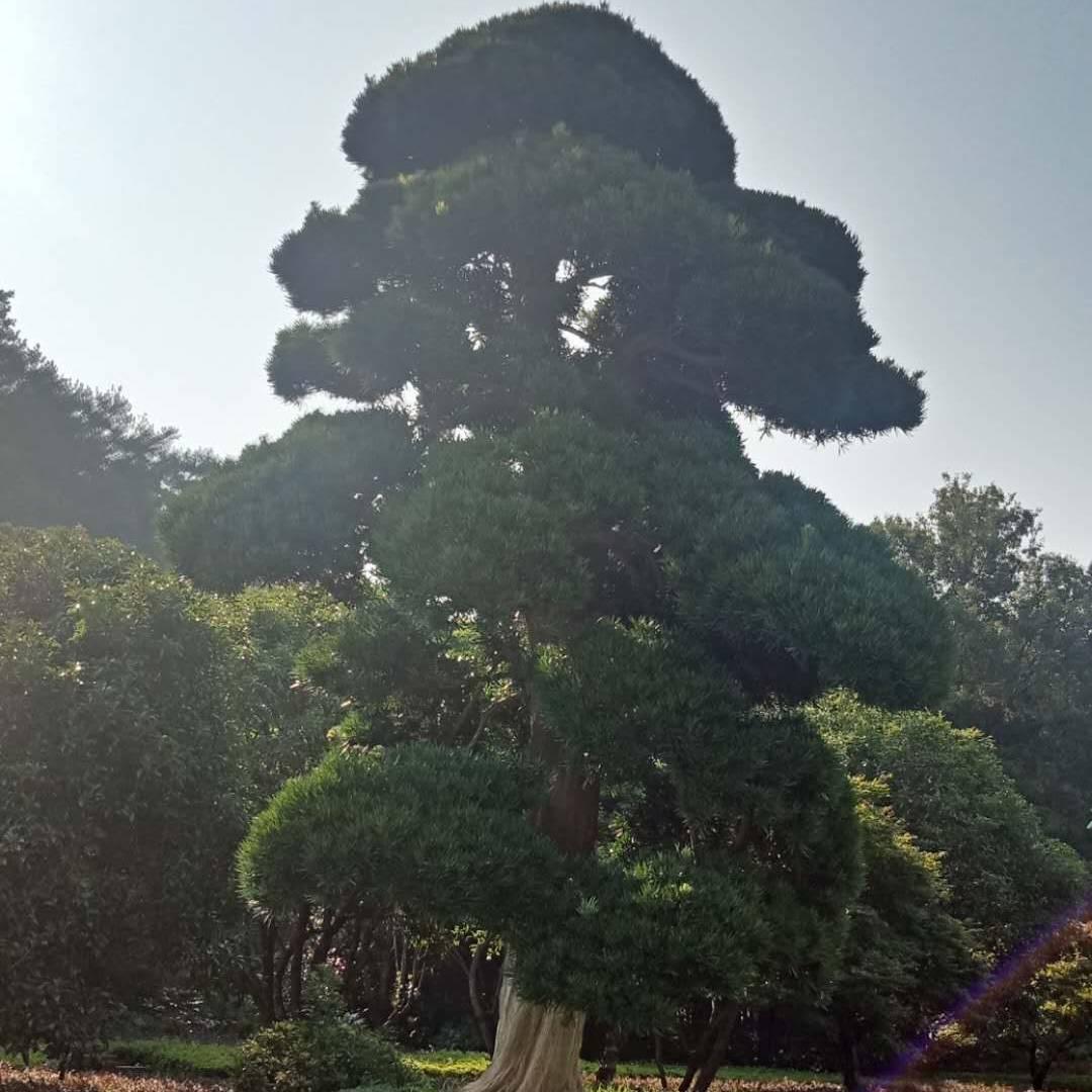 平安快乐