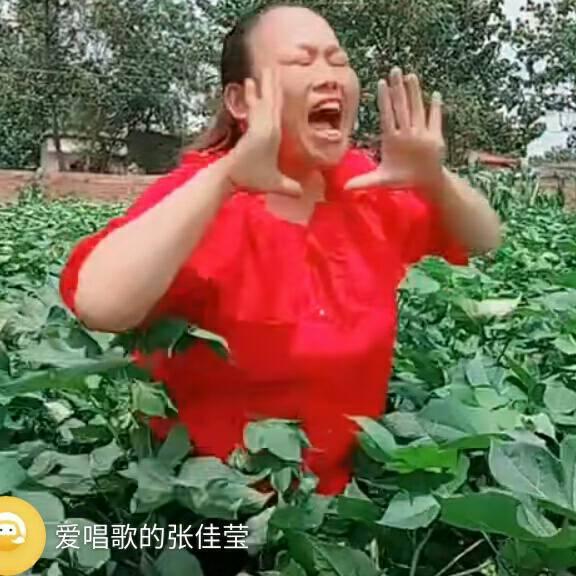 爱唱歌的张佳莹
