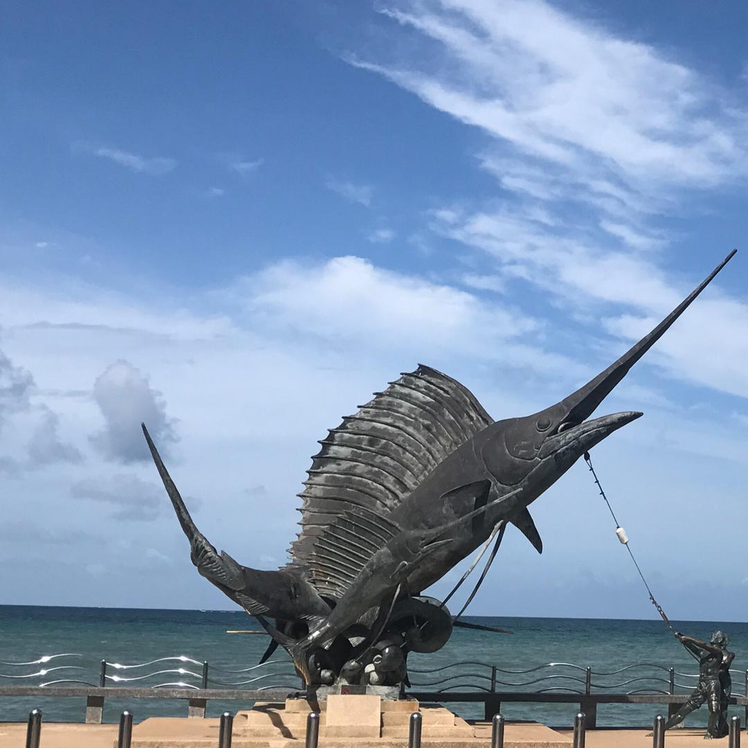 梦一场