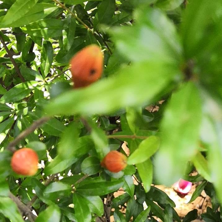 等待