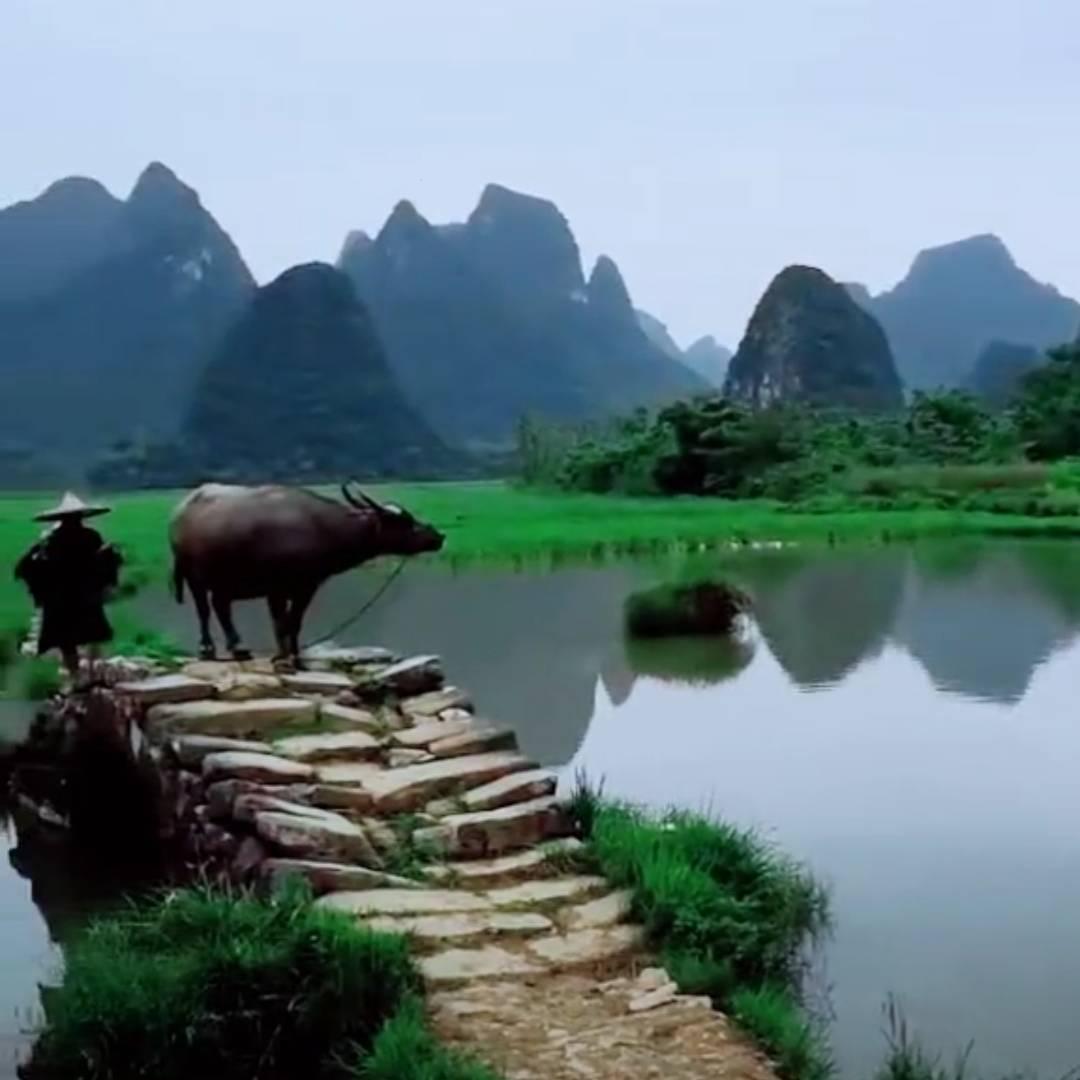 广西桂系