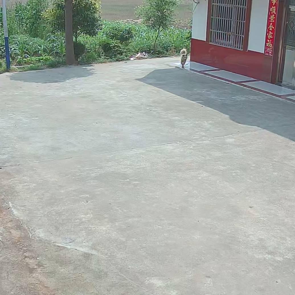 用户87250933
