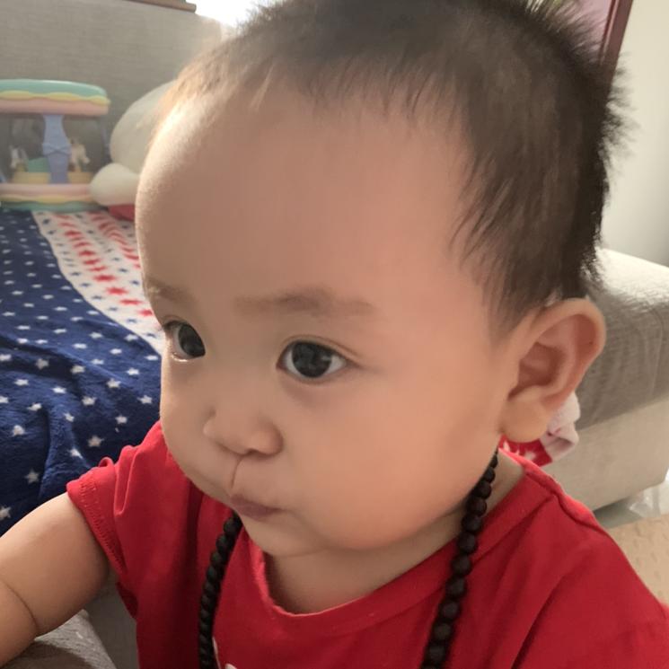 瑶先生