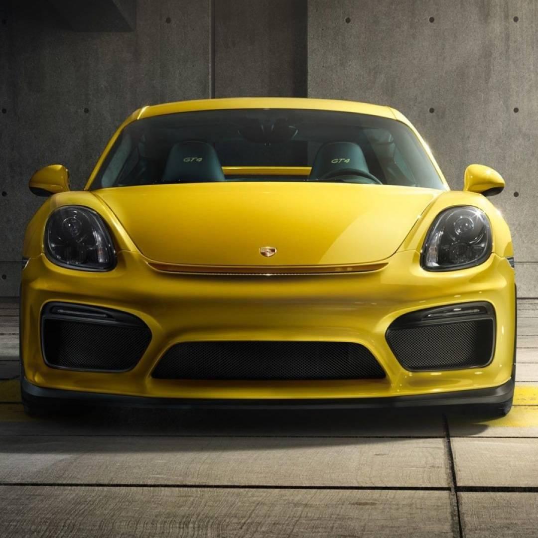 你若有心，我岂会无意