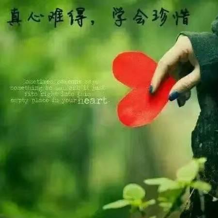 🌹似梦非梦🇨🇳