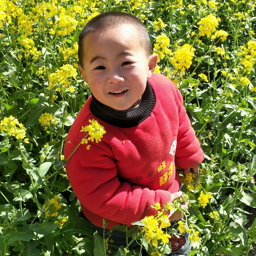 稳稳的幸福94375