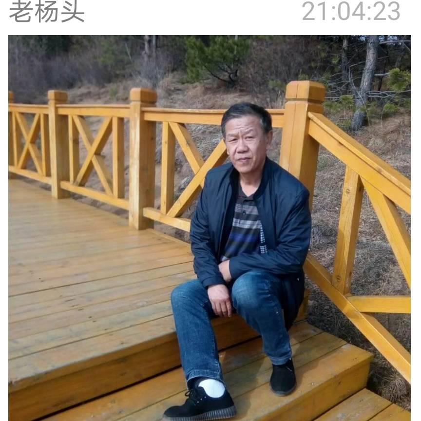 ⭐️老杨叔⭐️