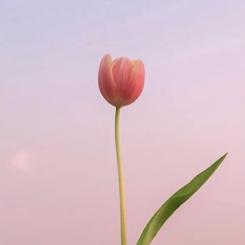 '涂鸦'
