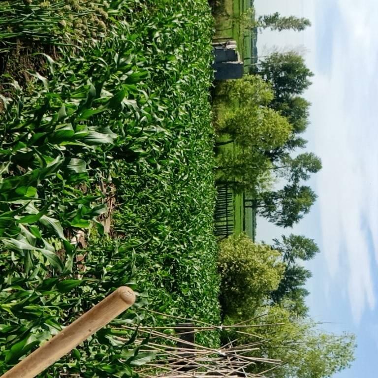 好人一生平安70后_