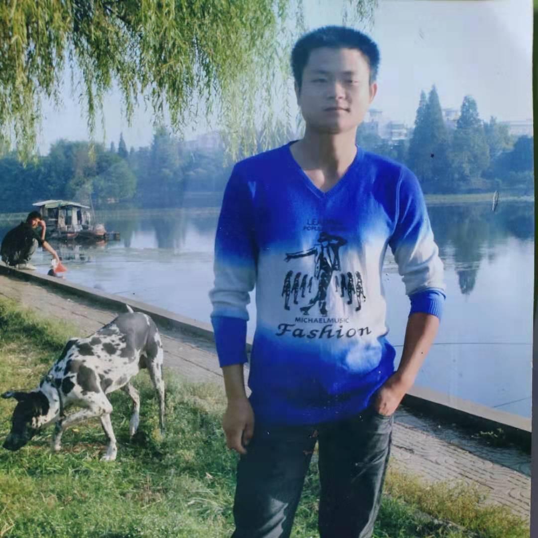 小秦，挖机免费专业挖树