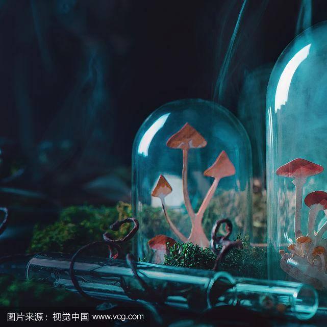 天空海阔干活去了