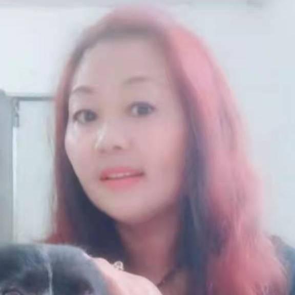 开心苦菜流浪花🤗