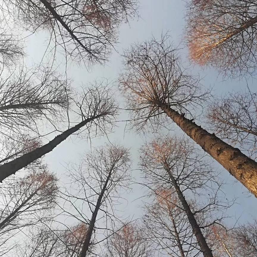 🌈生活比蜜甜🌈