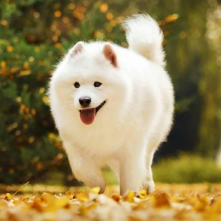 ཀོ搞钱ོ要紧 ꦿ҉࿐