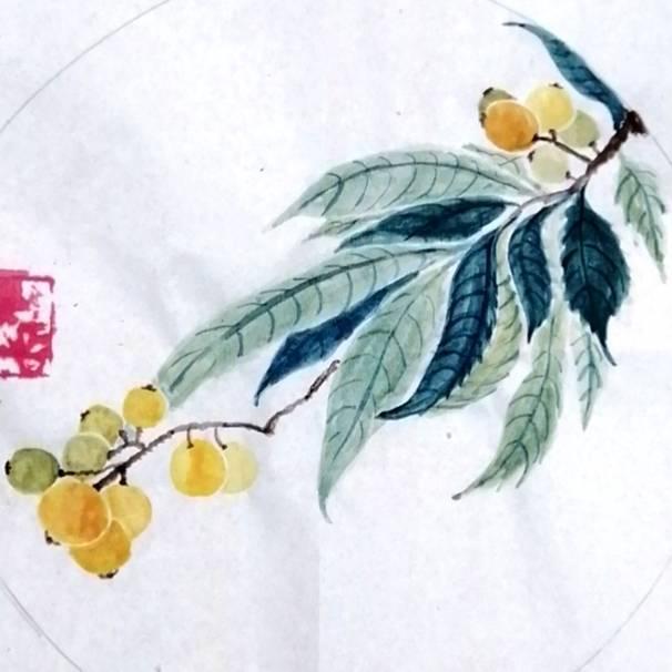 枇杷果—朗读者