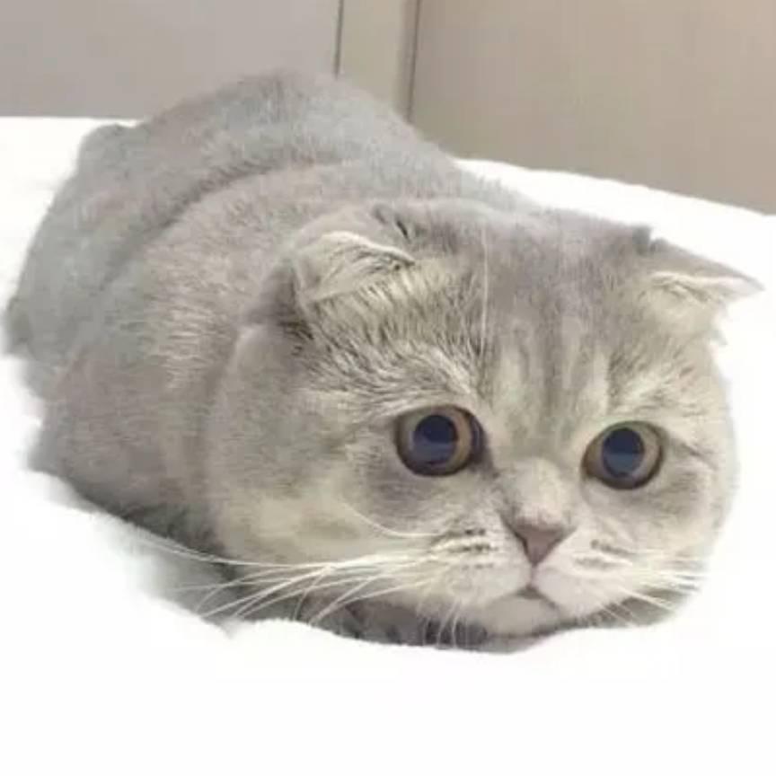 呆᭄