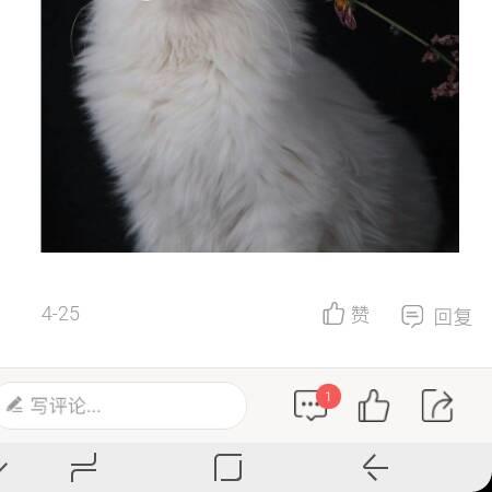 任，，性9436