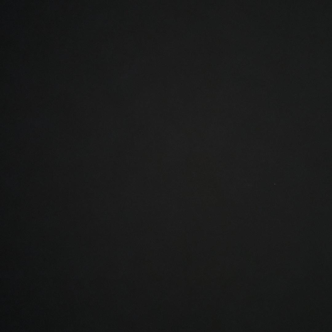 懒
