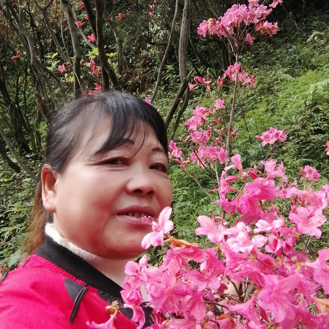 农村林姐姐
