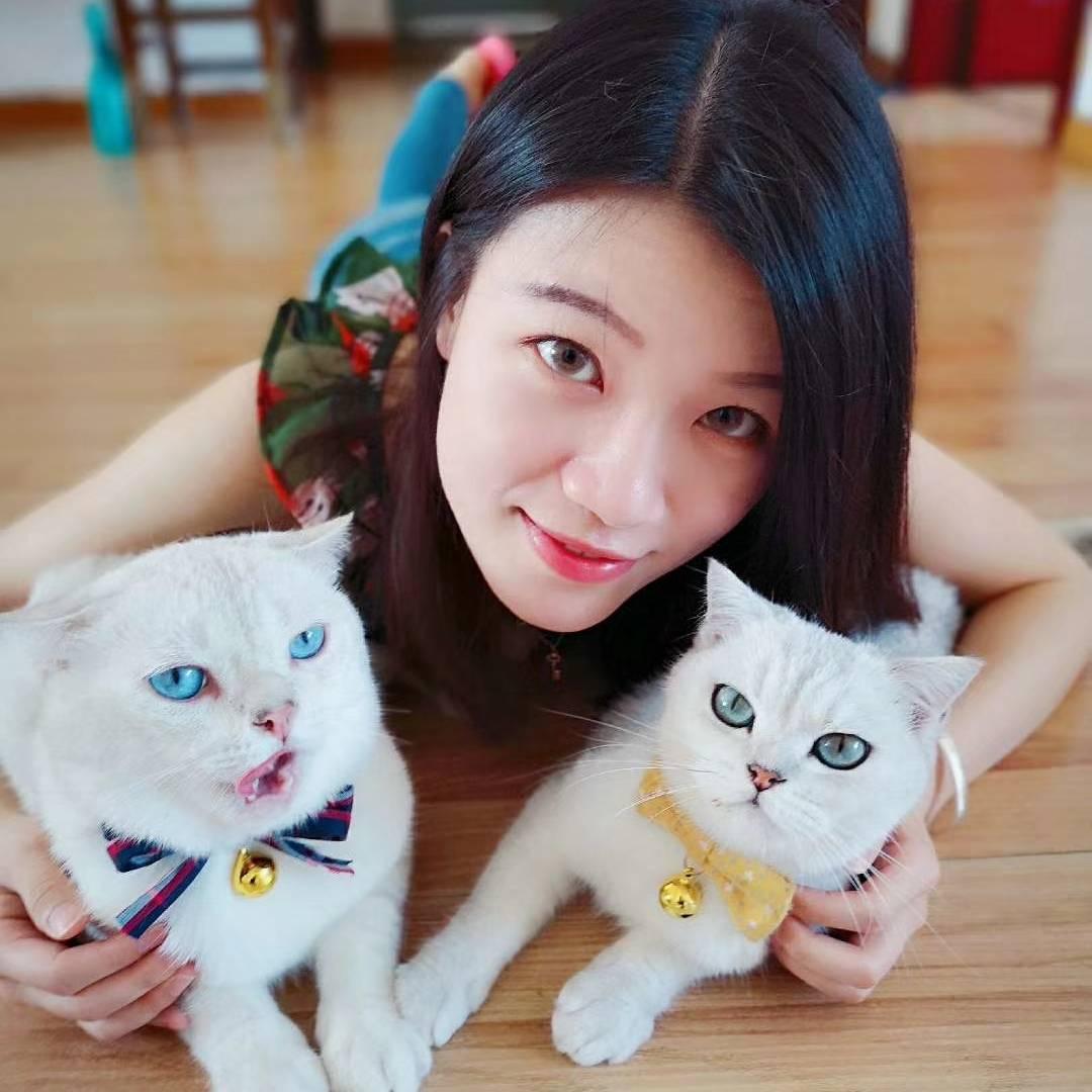 开挂猫咪秀